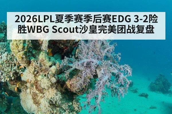 2026LPL夏季赛季后赛EDG 3-2险胜WBG Scout沙皇完美团战复盘